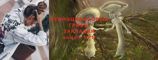 прущая мука Богородск